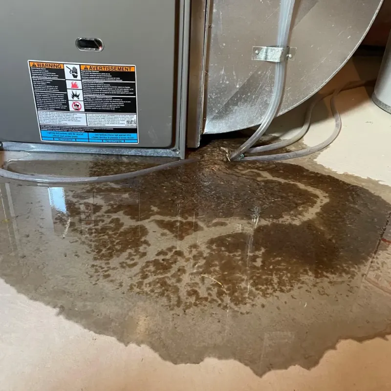 Appliance Leak Cleanup in Jackson, OH